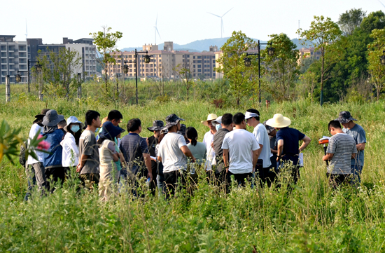 草地樣地現場_副本.jpg 草地樣地現場_副本.jpg