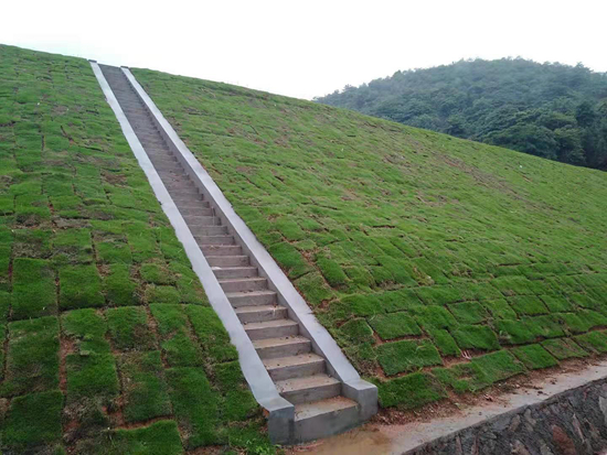 高標準農田1.jpg 高標準農田1.jpg