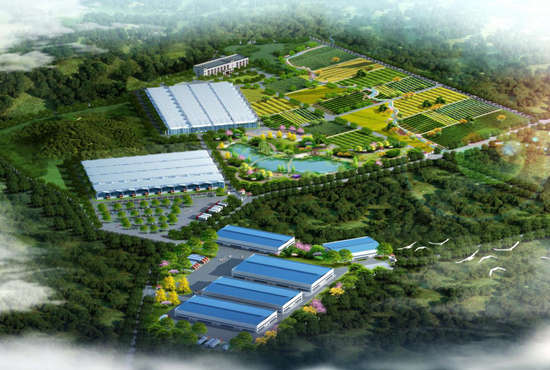長順縣-貴陽市農副產品蔬菜保供基地建設項目_副本.jpg 長順縣-貴陽市農副產品蔬菜保供基地建設項目_副本.jpg