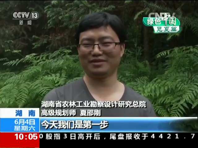 秉承林業傳統精神 弘揚生態發展理念——規劃分院設計團隊接受中央電視臺記者采訪