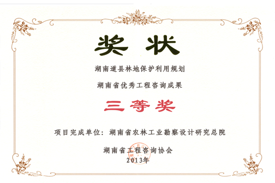 2013年度湖南省優(yōu)秀工程咨詢成果三等獎