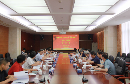 產權中心編制的《湖南省林下經濟千億產業發展規劃（2018～2025年）》順利通過專家評審