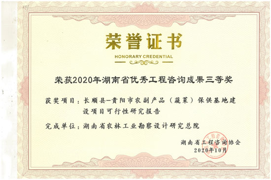 2020年湖南省優(yōu)秀工程咨詢?nèi)泉?jiǎng)