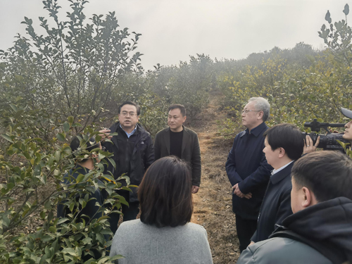 我院陪同省林業局經發中心調研株洲市淥口區林業工作