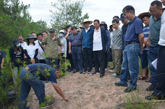 森林樣地現場教學1_副本.jpg 森林樣地現場教學1_副本.jpg