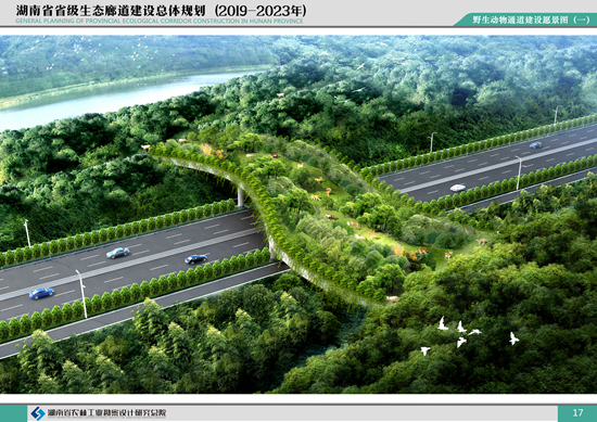 17野生動(dòng)物通道建設(shè)愿景圖_副本.jpg 17野生動(dòng)物通道建設(shè)愿景圖_副本.jpg