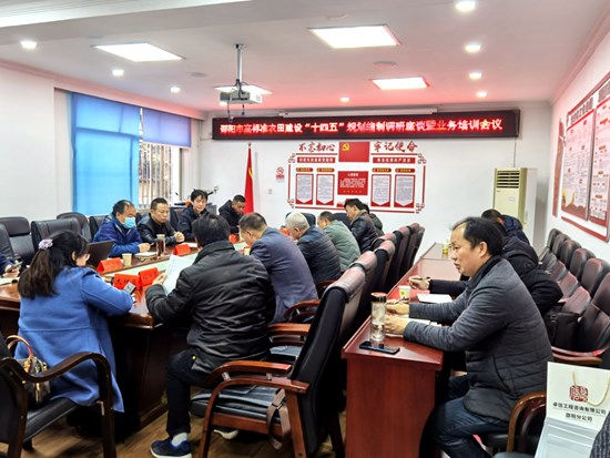 祖赤副院長調研高標準農田_副本.jpg