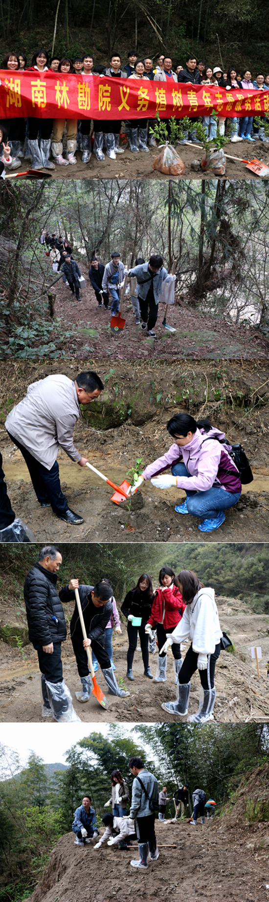 義務植樹拼接.jpg 義務植樹拼接.jpg