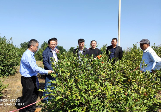 李志勇巡視員調(diào)研_副本.jpg 李志勇巡視員調(diào)研_副本.jpg